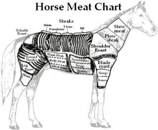 Who Are We to Judge Horse Meat?