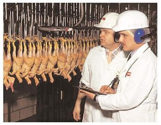 Sequestration Is a Big Deal — Why USDA Inspectors Are Vital to the Meat Industry