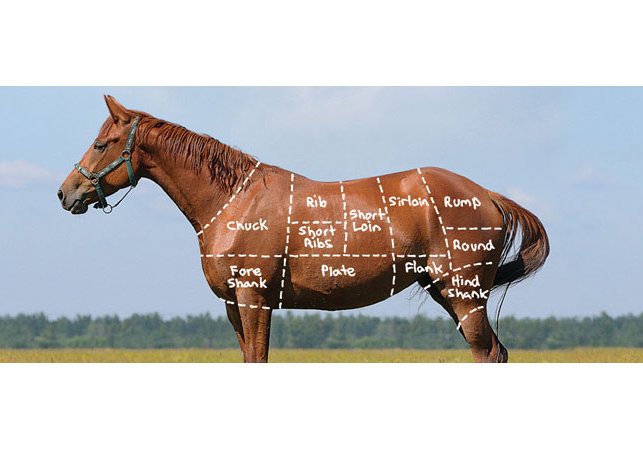 If Americans Weren’t So Spoiled, We’d Appreciate Horse Meat