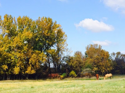 Wordless Wednesday: Fall in the Flint Hills