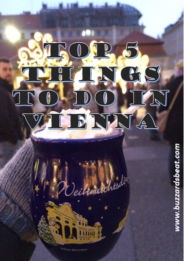 Top 5 Things To Do in Vienna