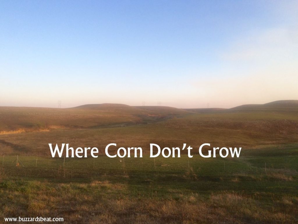 Corn doesn't grow well in the Tall Grass Prairie