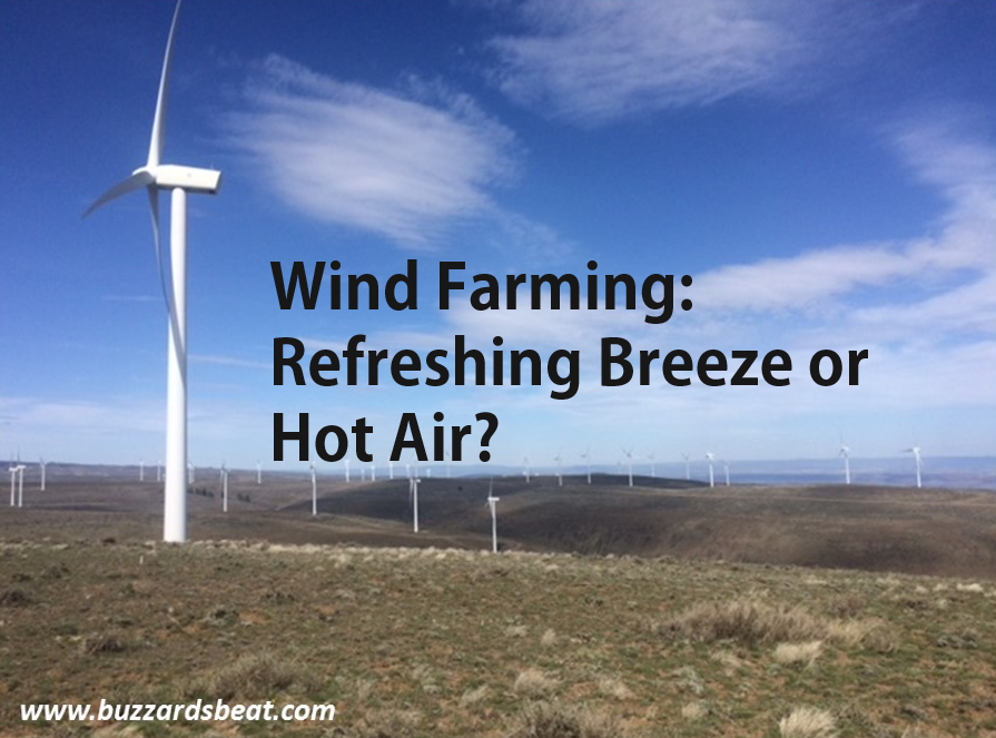 Wind Farming: Refreshing Breeze or Hot Air?