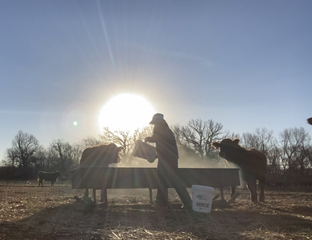 Family and Livestock are Top Priorities for Ranchers During the Holidays